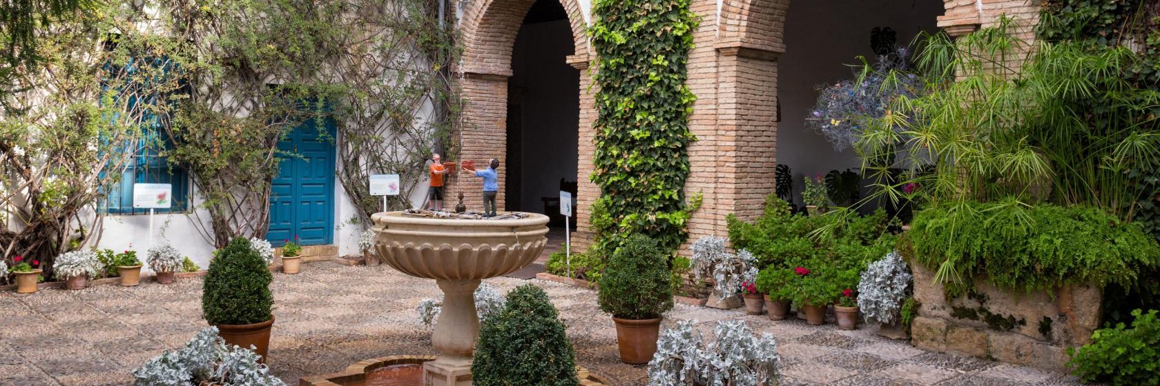 Palacio